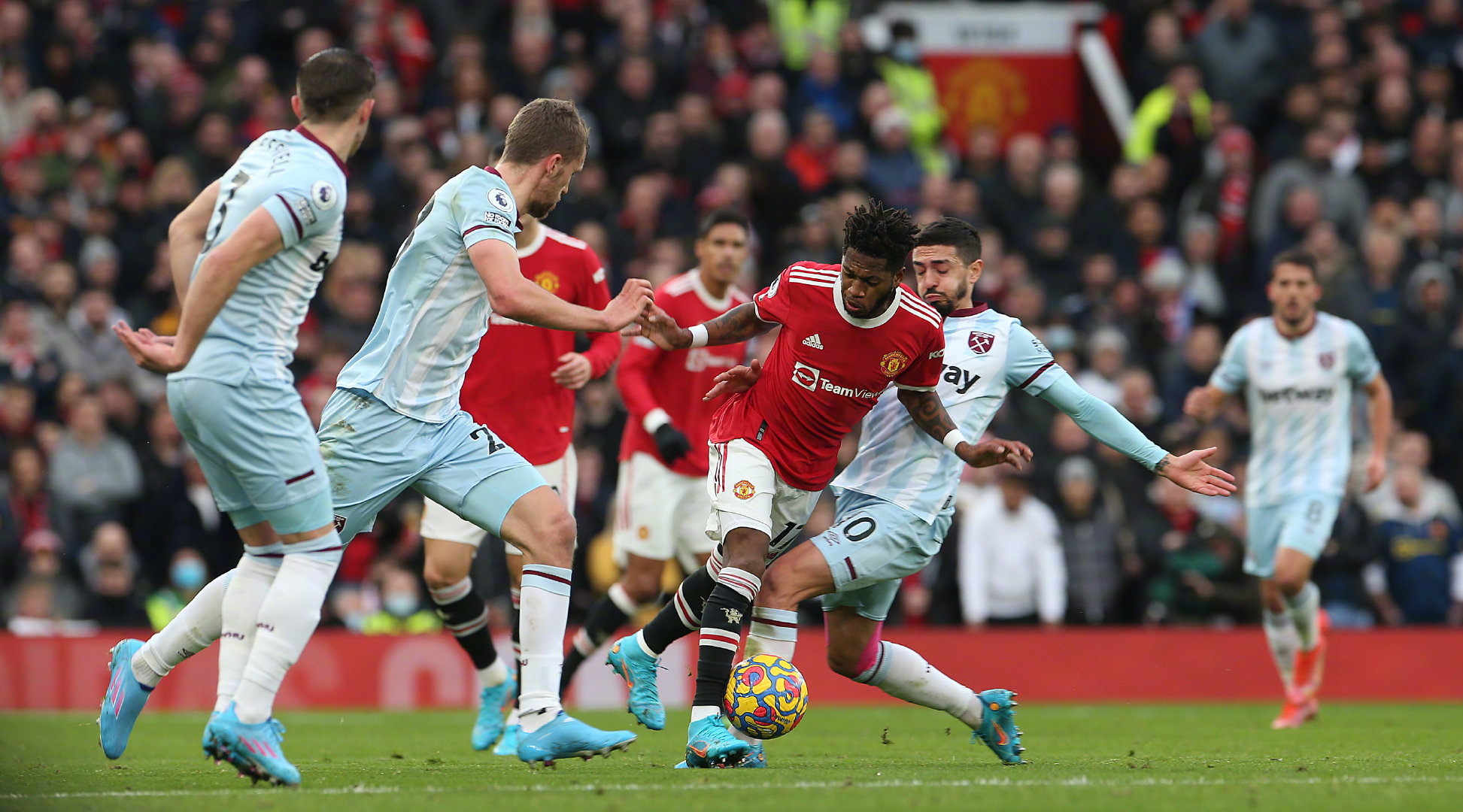 全成熟的球 全成熟的球